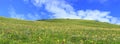 Panorama of spring grassland under the sky