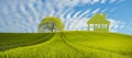 Panorama spring green field,the concept of green, ecological house built of leaves Royalty Free Stock Photo