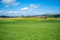 Panorama of spring green meadow and rural houses, sunny weather, rural landscape Royalty Free Stock Photo