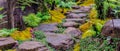 Panorama stone steps and green moss decoration in japanese garden