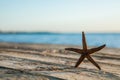 Panorama of summer beach with starfish and blue sea background. Landscape of tropical summer. Summer vacation concept Royalty Free Stock Photo