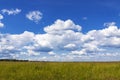 Panorama of summer fields on a background of blue naba and white clouds