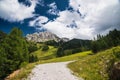 Panorama in summer mountains