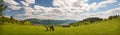 Grazing horse at high-land pasture at Carpathian Mountains in rays of sunset. Royalty Free Stock Photo