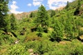 Summit rock panorama landscape of the mountains in Italy