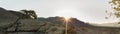 Panorama of the sun coming up over West Temple in Zion National park and the slickrocks and pines along the Guacamole trail to the Royalty Free Stock Photo