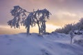 Panorama sunset colored sky winter snow clouds in Slovakia nature landscapes. Mountain sunset sky zoom in peak Vapenna frost