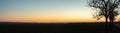 Panorama of a sunset over a rural area with the silhouette of a tree next to a country road