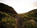 Panorama sunset view of black sand ocean coast Karekare Beach West Auckland North Island New Zealand Royalty Free Stock Photo