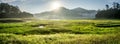 Panorama of Suoi Tia near Ho Tuyen Lam lake, Da Lat city, Vietnam Royalty Free Stock Photo