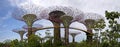 Panorama Supertrees, Singapore Royalty Free Stock Photo