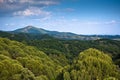 Panorama of surrounding olive groves by Villanueva Royalty Free Stock Photo