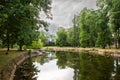 Panorama of a swamp pond, an old lake, in a neglected and abandoned garden, during a cloudy afternoon