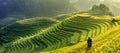 Panorama symbol of Vietnamese rice terraces,Mu cang chai.Yenbai,Vietnam Royalty Free Stock Photo