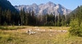 Panorama of Tatry mountains from meadow near Morskie Oko lake Royalty Free Stock Photo