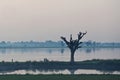 Morning in Amarapura, Myanmar