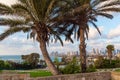 Panorama of Tel Aviv. Sunset Royalty Free Stock Photo