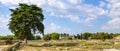 Panorama of the Temple of Athena at Paestum