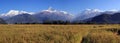 Panorama of Terrace Rice Paddy Field Royalty Free Stock Photo