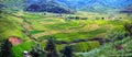 Panorama the terraced rice field view, Tu Le, Vietnam