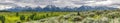 Panorama of Tetons and Marshy Plains