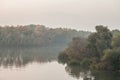 Panorama of the Timis river in pancevo, banat, serbia, with fog, misty and autumn trees in a middle of a swamp in a forest Royalty Free Stock Photo