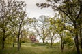 Panorama of Titelski breg, or titel hill, with a green meadow field and green treesat dusk, in a typical European natural