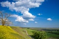 Panorama of Titelski breg, or titel hill, in Vojvodina, Serbia, with a dirtpath countryside road in front of a yellow field Royalty Free Stock Photo