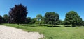 Panorama trees at dogpark