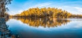 Panorama of trees reflecting in Murray River.