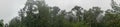 Panorama of Tropical Dipterocarp Rainfprest in Mist Royalty Free Stock Photo