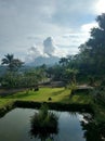 Panorama of a tropical mountain valley with jungle Royalty Free Stock Photo