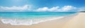 Panorama tropical sea and sandy beach with blue sky background. Generative AI