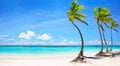 Panorama of tropical white sand beach with coconut palm trees and turquoise blue water in Punta Cana, Dominican Republic Royalty Free Stock Photo