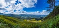 Panorama Tung Bua Tong Mexican sunflower