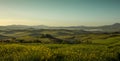 Panorama of Tuscan landscape in Val d\'Orcia, Tuscany Royalty Free Stock Photo