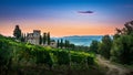 Panorama of Tuscan vineyard covered in fog at the dawn near Castellina in Chianti, Italy