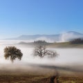 Panorama of Tuscanian farmland landscape Royalty Free Stock Photo