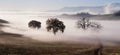 Panorama of Tuscany farmland landscape Royalty Free Stock Photo