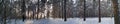 Panorama. Two small country roads in winter forest with sunshine on trees Royalty Free Stock Photo