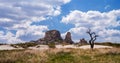 Panorama with Uchisar castle and silhouette of a dry tree in Cappadocia, Turkey