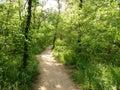 Landscapes of the blossoming spring nature of the Dnieper banks and Dnieper forests on the outskirts of Zaporozhye. Royalty Free Stock Photo