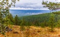 Panorama of the Ural taiga at dawn.Bashkortostan. Royalty Free Stock Photo