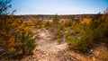 panorama view of abandoned granite quarry, now covered with young coniferous and deciduous trees, cold misty autumn morning Royalty Free Stock Photo