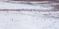 Panorama view from above on texture of snow covered gravel dirt road in the forest