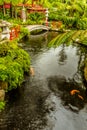 A panorama view across the lakes in the tropical garden above the city of Funchal Madeira Royalty Free Stock Photo