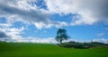 Panorama View across open farmland near Ings in the Lake Distict UK