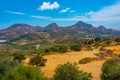 Panorama view of agricultural landscape near Asomatos and Lefkog