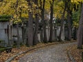 Panorama view of ancient historic old tombstone alley graveyard Pere Lachaise garden cemetery necropolis in Paris France