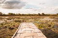 Panorama view Bamboo Bridge over The red Lotus Lake against blue sky in Summer Tung Dok Bua Dang .Nakorn Pratum Thailand Royalty Free Stock Photo